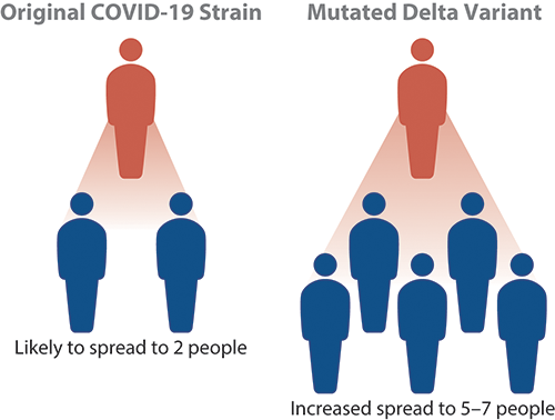 Two-part illustration comparing the original COVID-19 strain, where one person is likely to spread the disease to 2 other people, and the mutated delta variant, where one person is likely to spread the disease to 5 to 7 other people.